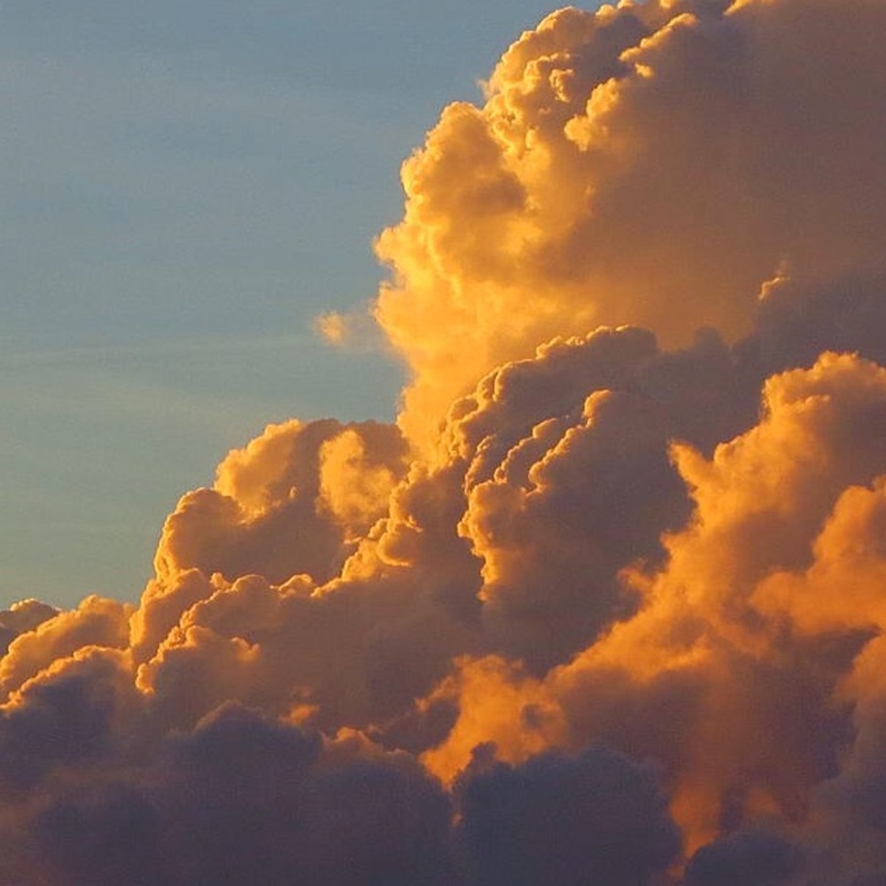 Meet your Posher, Zarin